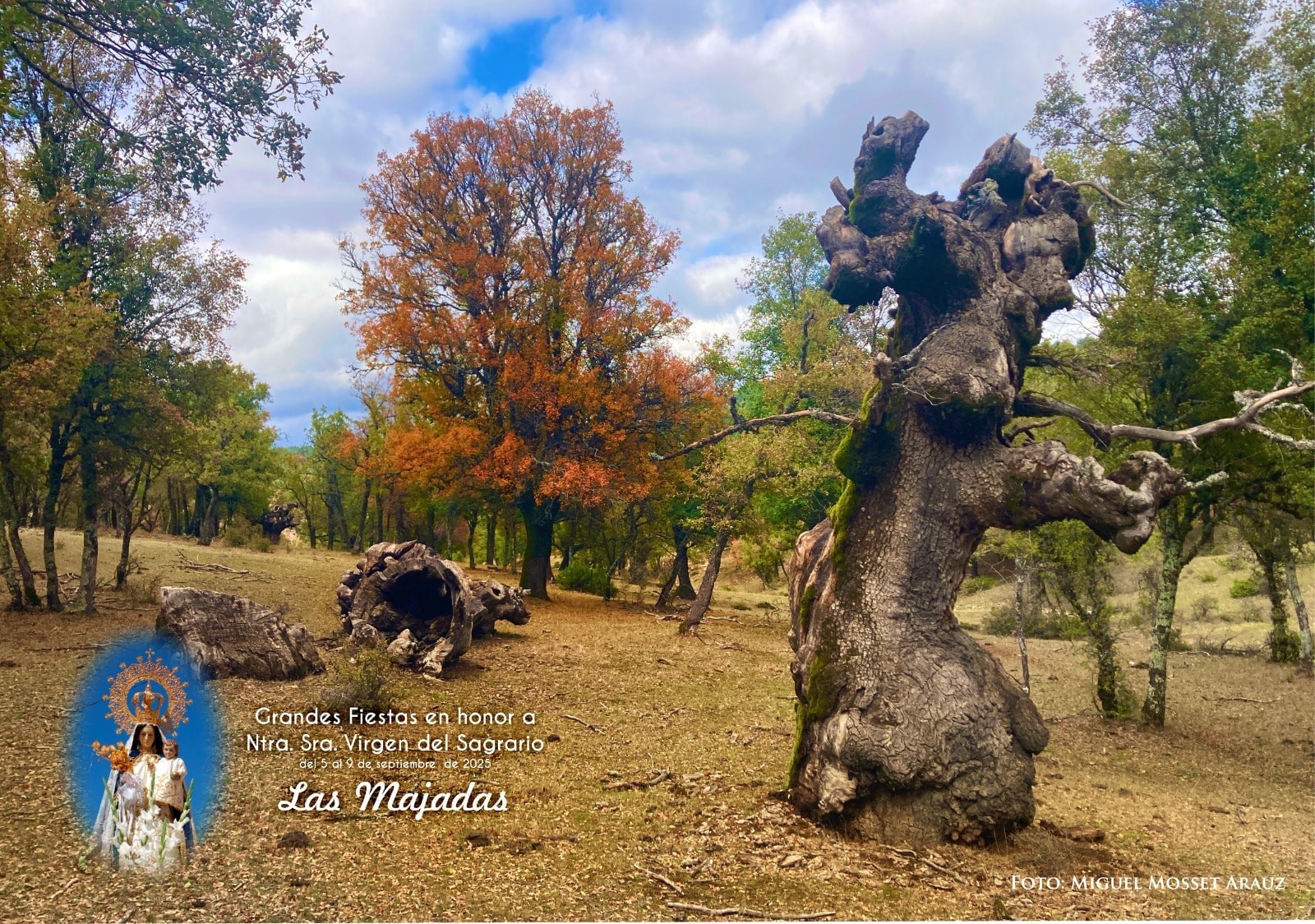 Fiestas de Las Majadas, Cuenca. Ntra. Sra. Virgen del Sagrario